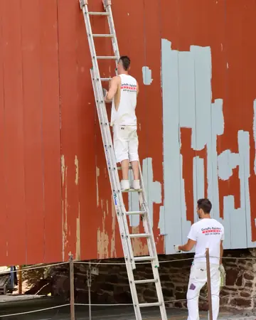 Two painters on ladders repainting a wooden wall